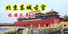 操逼高潮操死逼中国北京-东城古宫旅游风景区